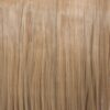 Caramel Blonde